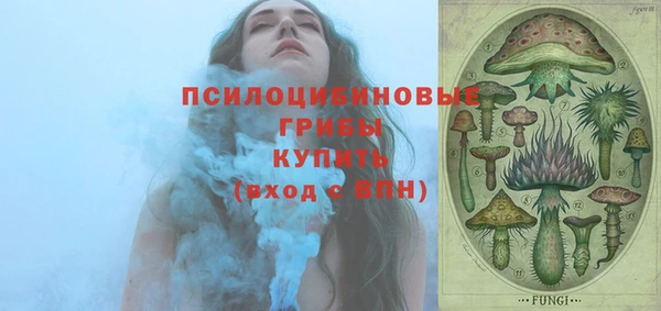дурь Ладушкин