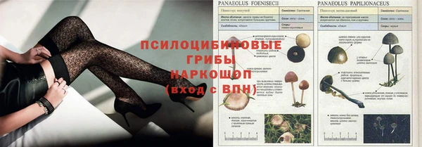 дурь Ладушкин