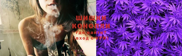 дурь Ладушкин