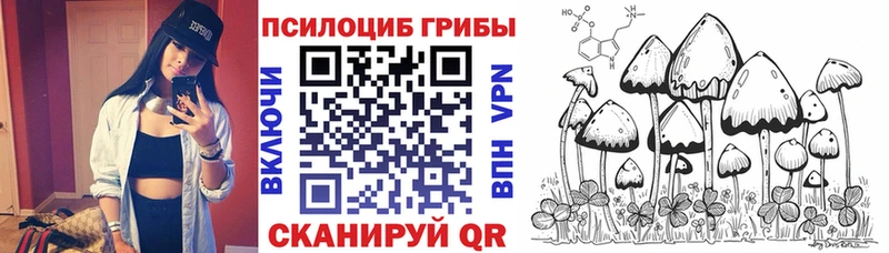 наркошоп Ханты-Мансийск Псилоцибиновые грибы Magic Shrooms